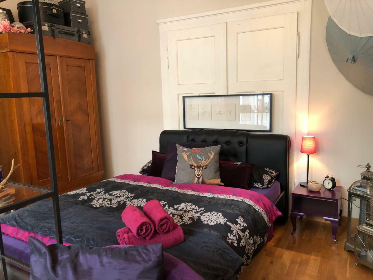 Villa Luise Appartement Offenburg Buitenkant foto